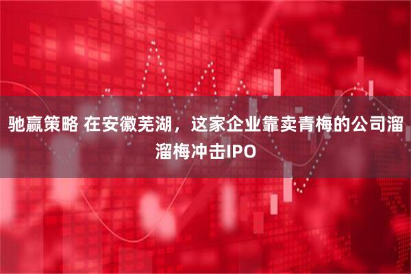驰赢策略 在安徽芜湖，这家企业靠卖青梅的公司溜溜梅冲击IPO