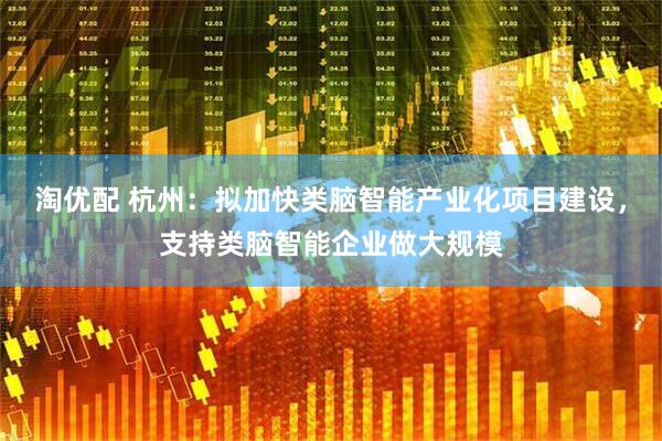 淘优配 杭州：拟加快类脑智能产业化项目建设，支持类脑智能企业做大规模