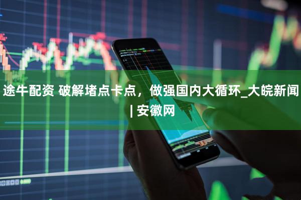 途牛配资 破解堵点卡点，做强国内大循环_大皖新闻 | 安徽网