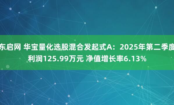 东启网 华宝量化选股混合发起式A：2025年第二季度利润125.99万元 净值增长率6.13%
