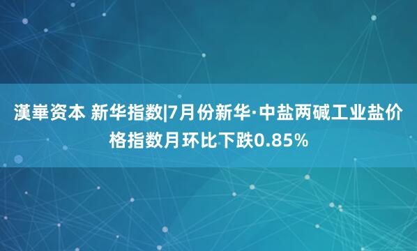 漢崋资本 新华指数|7月份新华·中盐两碱工业盐价格指数月环比下跌0.85%