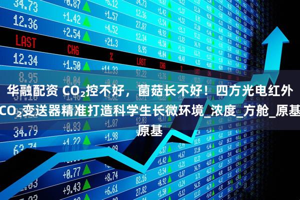 华融配资 CO₂控不好，菌菇长不好！四方光电红外CO₂变送器精准打造科学生长微环境_浓度_方舱_原基
