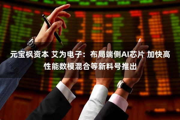 元宝枫资本 艾为电子：布局端侧AI芯片 加快高性能数模混合等新料号推出
