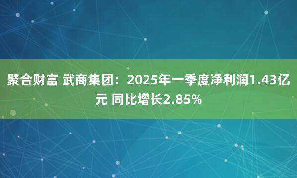 聚合财富 武商集团：2025年一季度净利润1.43亿元 同比增长2.85%